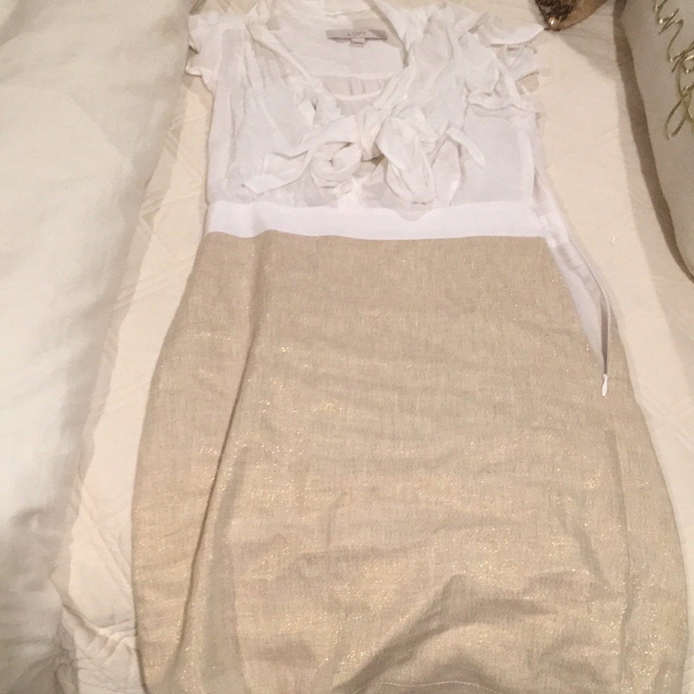 Ann Taylor loft career dress